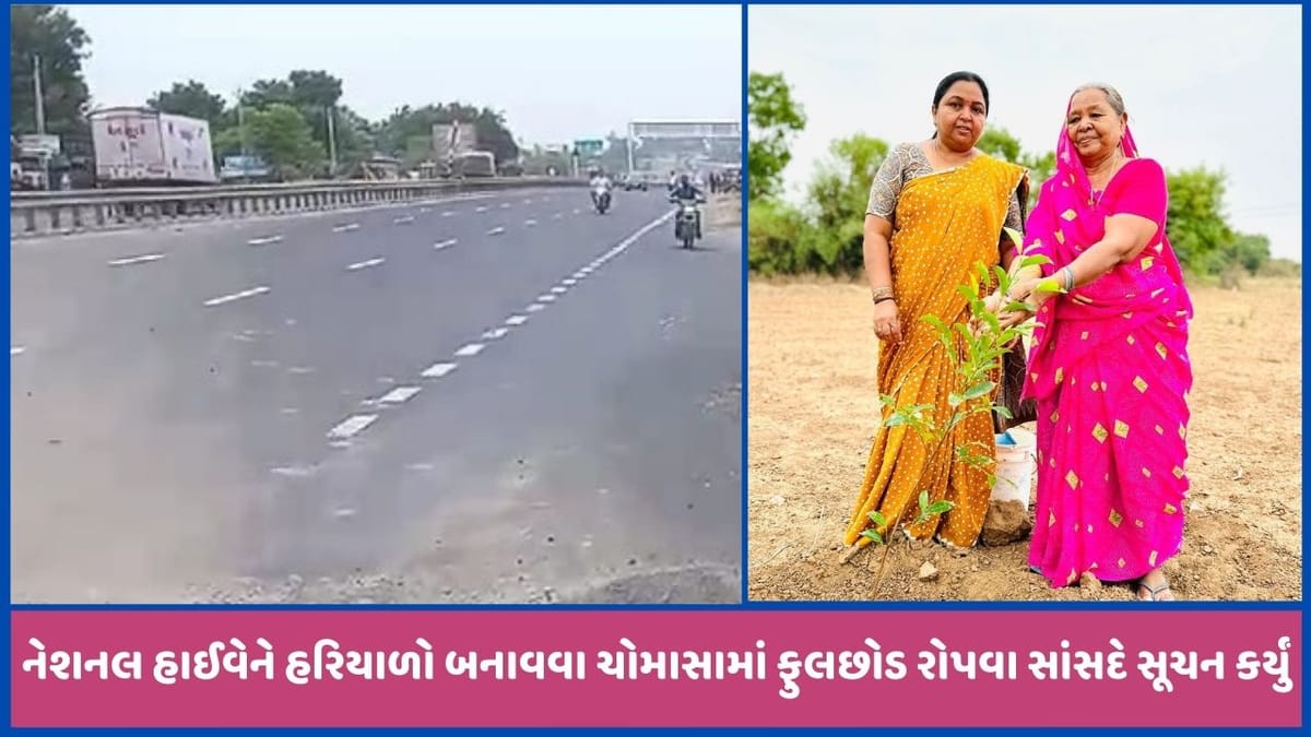 ઉદયપુર-અમદાવાદ નેશનલ હાઈવેને હરિયાળો બનાવવા MPનું સૂચન, શામળાજીની સમસ્યા પણ નિવારાશે ઉદયપુર-અમદાવાદ નેશનલ હાઈવેને હરિયાળો બનાવવા MPનું સૂચન, શામળાજીની સમસ્યા પણ નિવારાશે