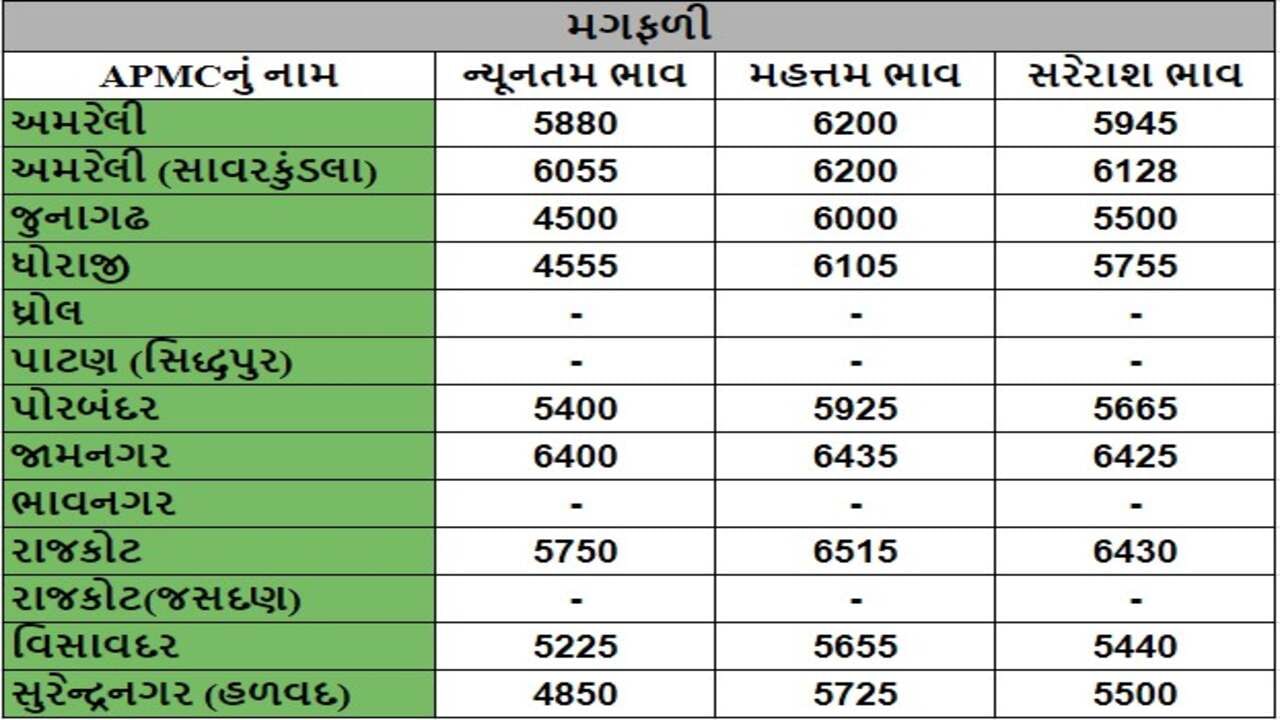 મગફળીના તા.29-07-2024ના રોજ APMCના ભાવ રૂ.4500 થી 6515 રહ્યા.