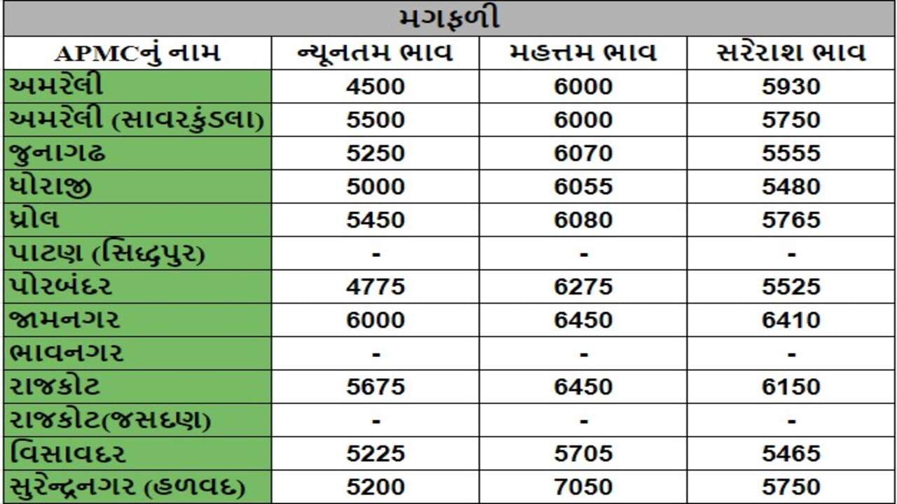 મગફળીના તા.06-07-2024ના રોજ APMCના ભાવ રૂ.4500 થી 7050 રહ્યા.