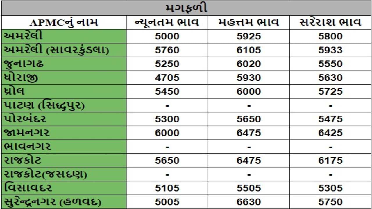 મગફળીના તા.08-07-2024ના રોજ APMCના ભાવ રૂ.4705 થી 6630 રહ્યા.