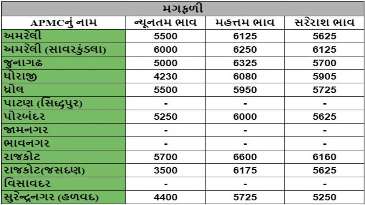 મગફળીના તા.15-07-2024ના રોજ APMCના ભાવ રૂ.4230 થી 6600 રહ્યા.