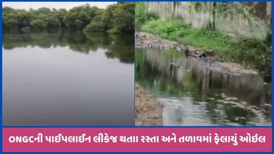 મહેસાણાઃ જોટાણા નજીક ઓઈલ તળાવમાં ભળ્યું, ONGCની લાઈનમાં ભંગાણ પડતા લીકેજ થયું, જુઓ વીડિયો મહેસાણાઃ જોટાણા નજીક ઓઈલ તળાવમાં ભળ્યું, ONGCની લાઈનમાં ભંગાણ પડતા લીકેજ થયું, જુઓ વીડિયો