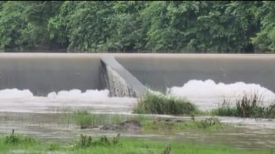 Panchmahal : કરાડ નદીમાં કેમિકલ છોડાતા ફીણના ગોટેગોટા દેખાયા, GPCBએ કાર્યવાહી નહીં કરી હોવાનો આક્ષેપ, જુઓ Video