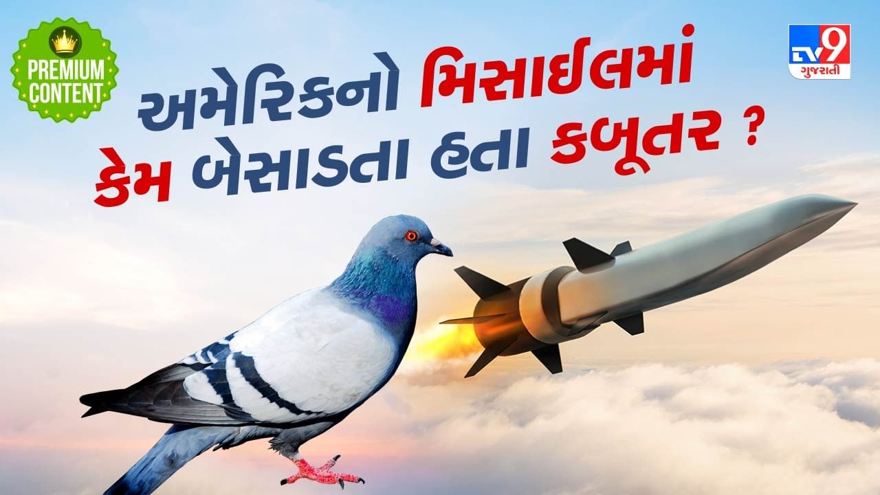 Why pigeons were placed in missiles by America during the Second World War?