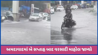 રાજ્યમાં 206 તાલુકાઓમાં વરસાદ વરસ્યો, સૌથી વધારે ઉમરપાડામાં 11 ઈંચ, જુઓ વીડિયો