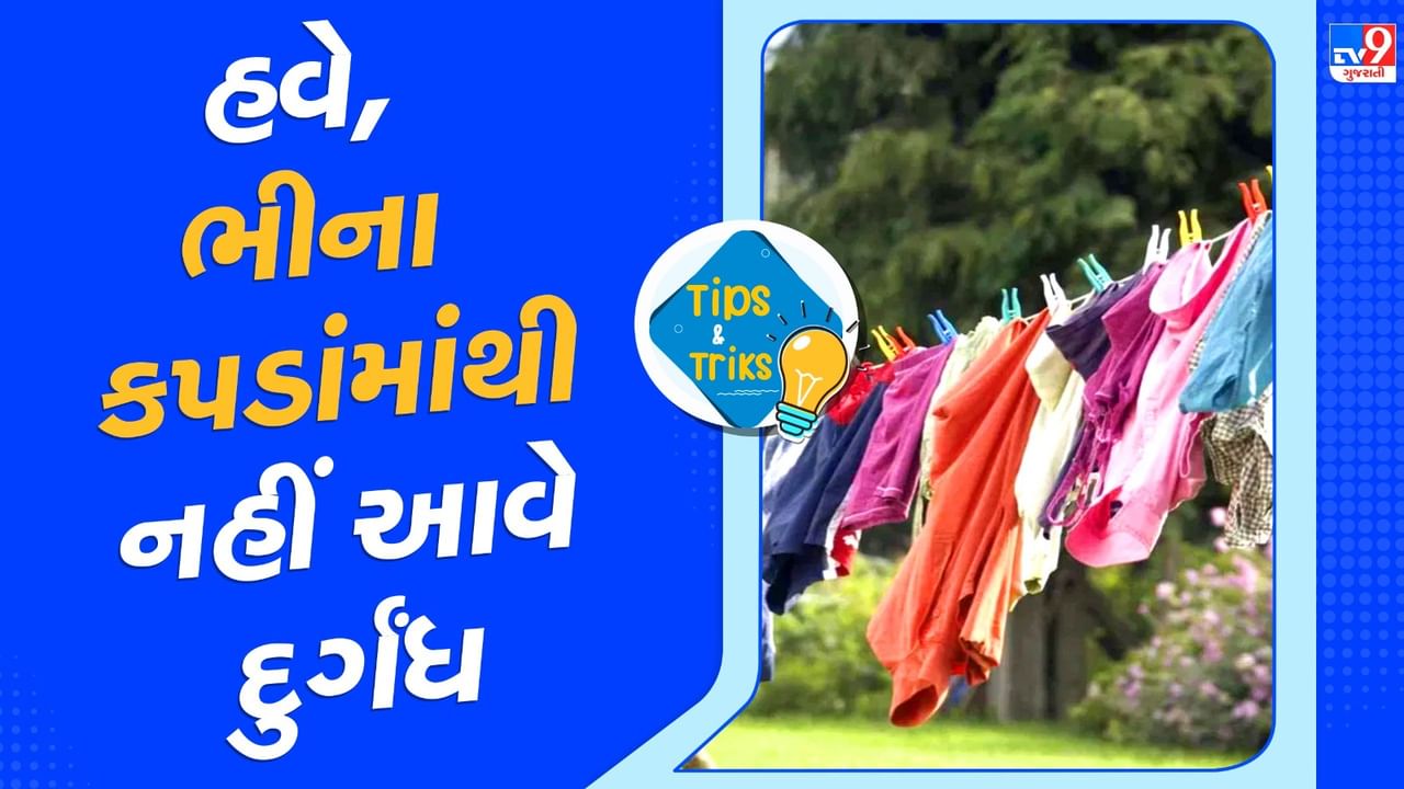 કપડાને એકસાથે રાખશો નહીં : ઘણીવાર લોકો લોન્ડ્રી બાસ્કેટમાં ગંદા કપડાંનો ઢગલો ભેગો કરે છે અને જ્યારે ઘણા બધા ગંદા કપડાં હોય ત્યારે તેઓ તેને ધોઈ નાખે છે. આ આદત ચોમાસામાં પરિસ્થિતિને વધુ ખરાબ કરી શકે છે અને કપડાંને વધુ ખરાબ કરી શકે છે. ગંદા કપડાને મશીન કે ટોપલીમાં સ્ટોર કરવાને બદલે તરત જ ધોઈ લો.
