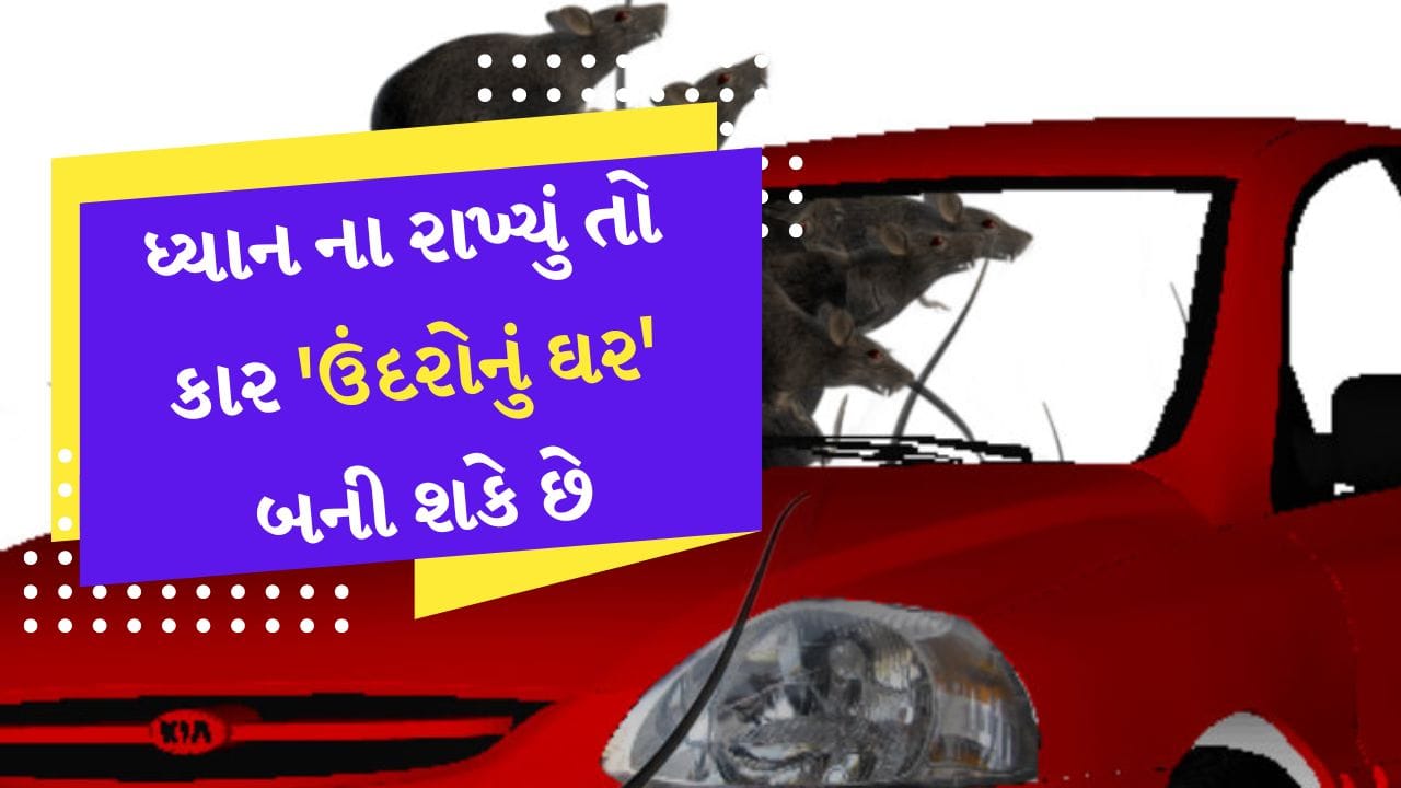 Car tips : ઘણી વાર ઉંદરો આપણી કારને પોતાનું ઘર બનાવી લે છે અને પછી કારના વાયરિંગને કોતરી નાખે છે. વાયરિંગ સિસ્ટમના જોડાણને કારણે વાહનના ઘણા ઇલેક્ટ્રીકલ ભાગો કામ કરવાનું બંધ કરે છે, જેના કારણે વાહનના સમારકામમાં ભારે ખર્ચ થાય છે. તમારી કારને ઉંદરોથી બચાવવા માટે તમારે કેટલાક મહત્વપૂર્ણ પગલાં ભરવા પડશે. હવે આવી સ્થિતિમાં સવાલ એ ઊભો થાય છે કે કારને ઉંદરોથી કેવી રીતે બચાવવી? તમારી કારને ઉંદરોના આ ઉપદ્રવથી બચાવવા માટે તમારે કેટલાક મહત્વપૂર્ણ પગલાં ભરવા પડશે.