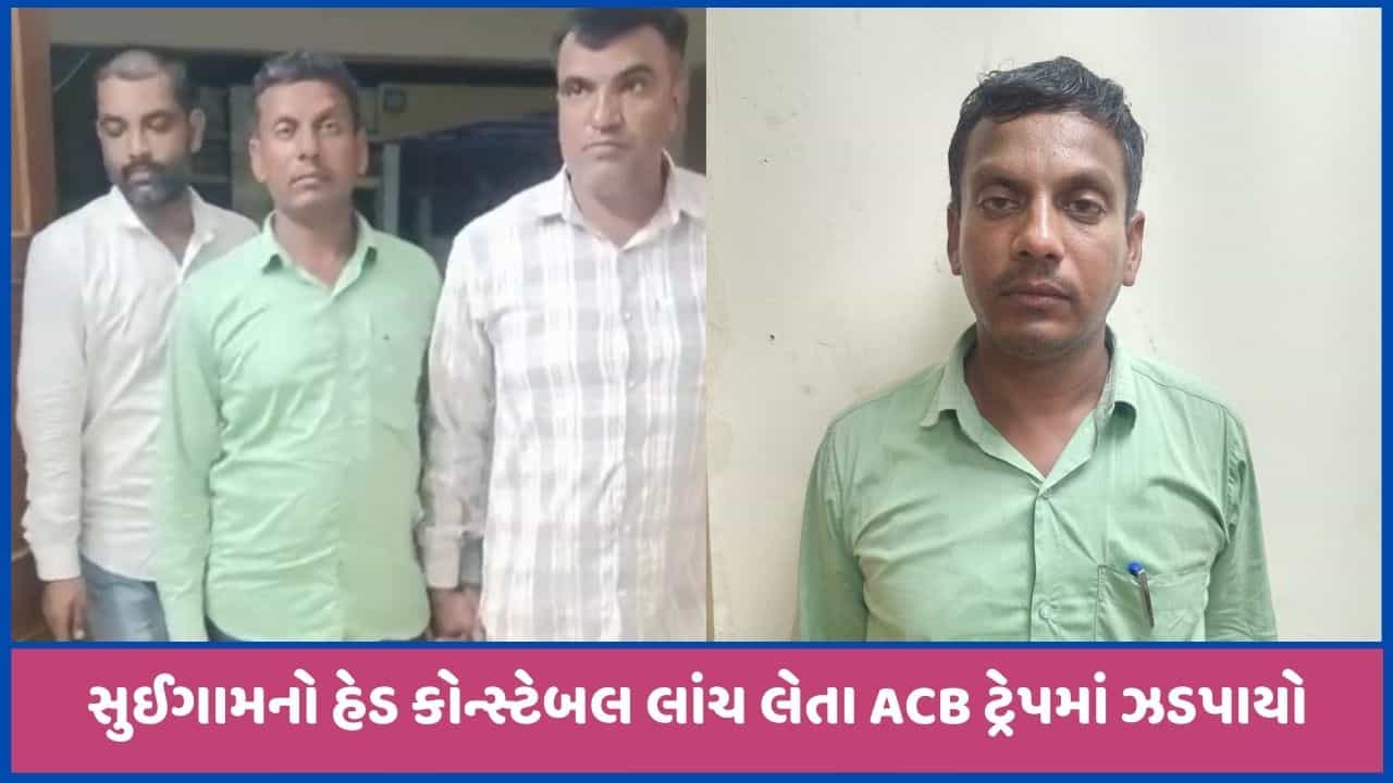 બનાસકાંઠાઃ વેવાઈની અરજીનો નિકાલ કરવા 8000 લાંચ લેતા હેડ કોન્સ્ટેબલ ACB ના છટકામાં ઝડપાયો