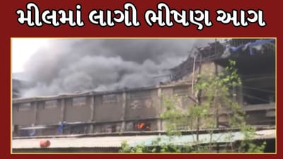 Surat Video :  પાંડેસરાની મીલમાં લાગી ભીષણ આગ, 3 કિલોમીટર સુધી ધુમાડાના ગોટે ગોટા જોવા મળ્યા
