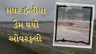 Surat Rain : ઉપરવાસમાં ભારે વરસાદથી મધર ઈન્ડીયા ડેમ છલકાયો, અંબિકા નદી બે કાંઠે વહેતી જોવા મળી, જુઓ Video