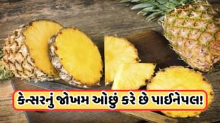 Pineapple : માત્ર અનાનસમાં જ જોવા મળે છે આ પોષક તત્વો, નિયમિત સેવન કરવાથી આ બીમારીઓ રહે છે દૂર