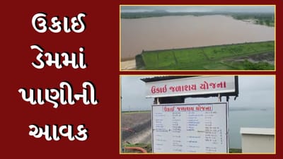 Tapi News : ઉપરવાસમાં ભારે વરસાદથી ઉકાઈ ડેમમાં પાણીની ભરપૂર આવક, 600 ક્યુસેક પાણી નહેરમાં છોડાયું, જુઓ Video