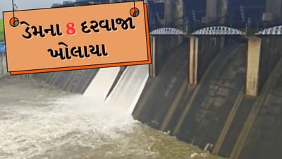 Valsad Video : મધુબન ડેમમાં નવા નીર આવતા 8 દરવાજા ખોલાયા, દમણગંગા નદીના કિનારે લોકોની અવરજવર પર પ્રતિબંધ