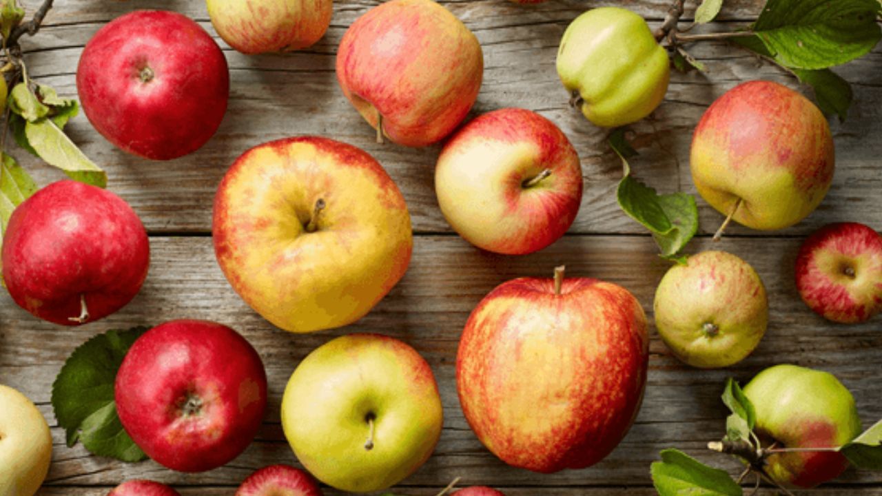 જો તમે તમારી દિનચર્યામાં સફરજનને સામેલ કરવા માંગો છો, તો તેને ખાવાનો શ્રેષ્ઠ સમય સવારના નાસ્તાના એક કલાક પછી છે અથવા દિવસ દરમિયાન તેનું સેવન કરવું જોઈએ. ખાલી પેટે સફરજન ખાવાથી કેટલીકવાર લોકોને તેને પચાવવામાં મુશ્કેલી પડે છે. ચાલો જાણીએ કે રોજ સફરજન ખાવાથી શું ફાયદા થાય છે.
