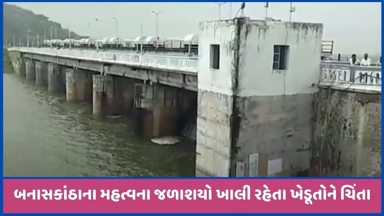 બનાસકાંઠાઃ મુક્તેશ્વર, સીપુ અને દાંતીવાડા ડેમમાં ચોમાસામાં ટીંપા પાણીની આવક નહીં થતાં ચિંતા, જુઓ વીડિયો