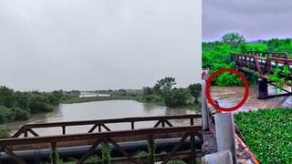 ભરૂચ વીડિયો : ઢાઢર નદીમાં એક વ્યક્તિએ મોતની છલાંગ લગાવી, ફાયર બ્રિગેડે શોધખોળ શરૂ કરી