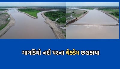 લાઠીમાં અવિરત વરસાદથી ગાગડિયો નદી પરના ચેકેડમ અને તળાવ છલકાયા, નિહાળો આકાશી નજારો- Video