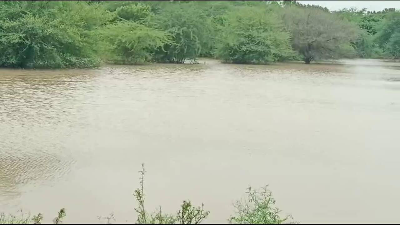 ભરૂચ : ભારે વરસાદ બાદ ખેતરો તળાવમાં ફેરવાયા, ખેતીને ભારે નુકસાન, જુઓ વીડિયો