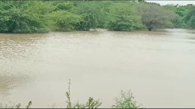 ભરૂચ : ભારે વરસાદ બાદ ખેતરો તળાવમાં ફેરવાયા, ખેતીને ભારે નુકસાન, જુઓ વીડિયો