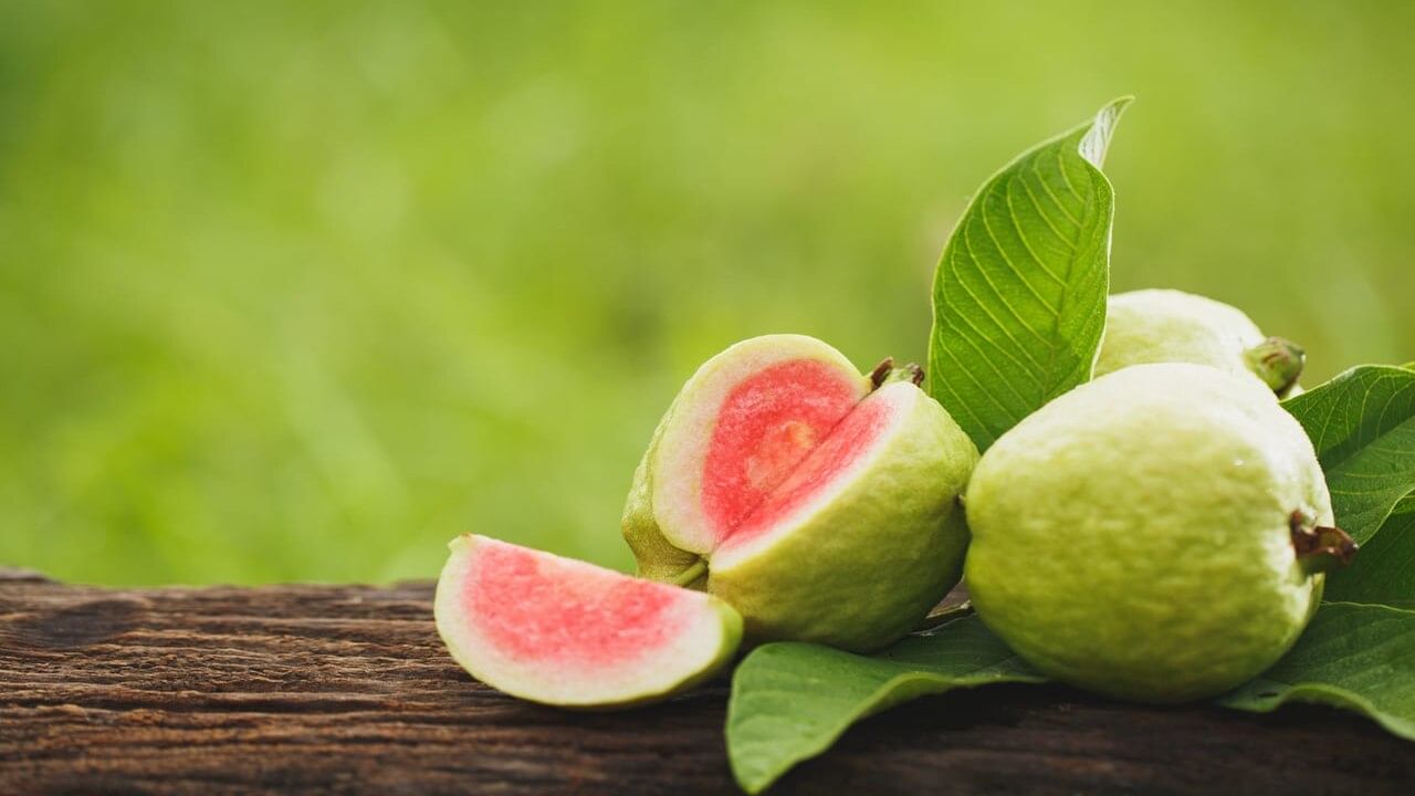 જામફળના ફળ અને પાંદડામાં વિટામિન સી અને પોટેશિયમ સહિતના પોષક તત્વો હોય છે, જે તમારા હૃદય, પાચન અને શરીરની અન્ય પ્રણાલીઓને મદદ કરી શકે છે. તેમના ફળ લંબગોળ હોય છે. 