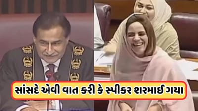 Video: 'મારી આંખોમાં જુઓ...', પાકિસ્તાનની સંસદમાં જોવા મળ્યો રોમેન્ટિક માહોલ, મહિલા સાંસદની વાત સાંભળીને સ્પીકર શરમાઈ ગયા