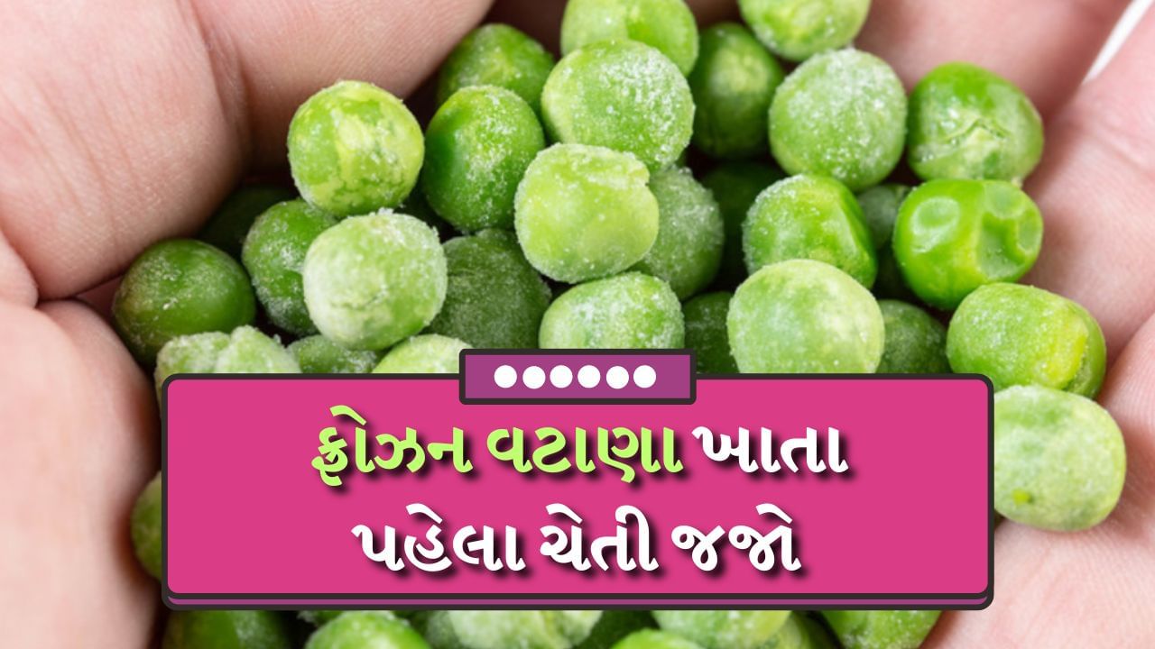 Frozen Peas : દરેક ઋતુમાં લોકો વટાણામાંથી બનેલી વાનગીઓનો આનંદ માણે છે. પરંતુ તાજા વટાણા ફક્ત શિયાળાની ઋતુમાં જ મળે છે. બાકીના દિવસોમાં આપણે માત્ર ફ્રોઝન વટાણા જ બનાવવાના હોય છે. તેનો સ્વાદ લગભગ સાચા વટાણા જેવો છે પરંતુ તે તાજા વટાણા જેટલો સ્વાસ્થ્ય માટે ફાયદાકારક નથી. અન્ય દિવસોમાં તાજા વટાણા ન મળવાને કારણે લોકોને ફ્રોઝન વટાણાનો ઉપયોગ કરવાની ફરજ પડે છે. 
