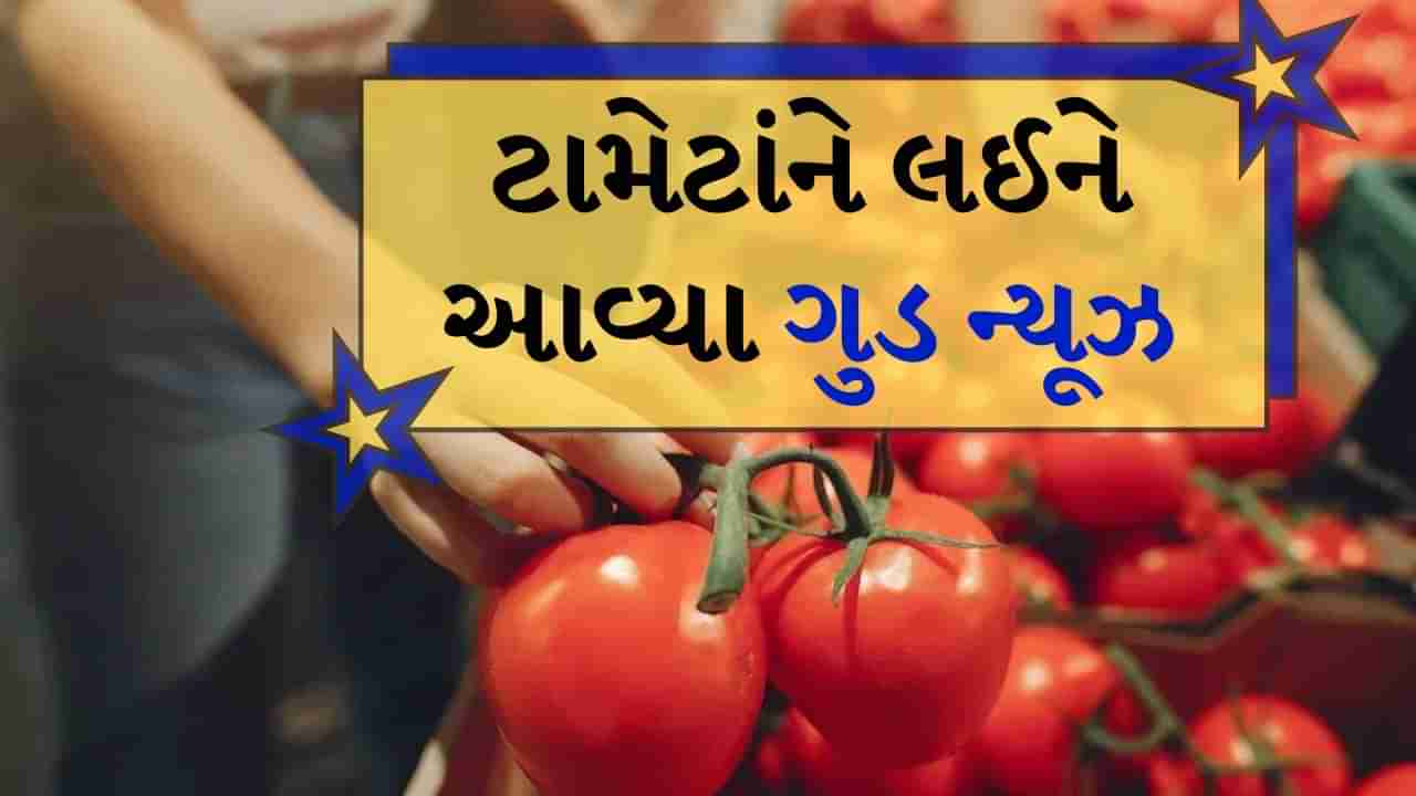 Good news : આંધ્રપ્રદેશ અને કર્ણાટકમાંથી આવ્યા ગુડ ન્યૂઝ, ટામેટાં ટૂંક સમયમાં થશે સસ્તા