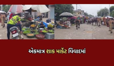 ગંદકી પારાવાર...પશુઓનો ત્રાસ...ટ્રાફિક જામ, વેરાવળની એકમાત્ર શાક માર્કેટ બની શોભાના ગાંઠિયા સમાન- Video