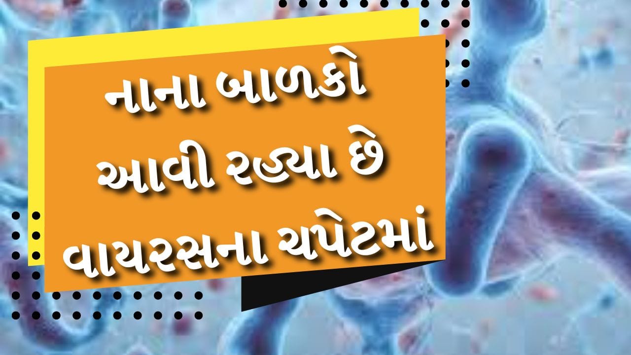 Chandipura virus symptoms : દેશમાં ચાંદીપુરા વાયરસે દસ્તક આપી છે. ગુજરાતમાં આ વાયરસને કારણે બાળકોના મોત થયા છે. ગુજરાત બાદ હવે રાજસ્થાનમાં પણ આ વાયરસ ફેલાઈ રહ્યો છે. રાજસ્થાનના ઉદયપુર જિલ્લામાં આ વાયરસના કેસ નોંધાયા છે. જીલ્લાના બે બાળકો વાયરસના લક્ષણો મળ્યા બાદ ગુજરાતમાં સારવાર હેઠળ હતા.