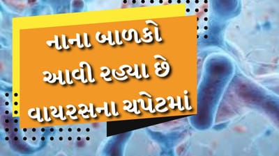 Chandipura virus symptoms : દેશમાં ચાંદીપુરા વાયરસે દસ્તક આપી છે. ગુજરાતમાં આ વાયરસને કારણે બાળકોના મોત થયા છે. ગુજરાત બાદ હવે રાજસ્થાનમાં પણ આ વાયરસ ફેલાઈ રહ્યો છે. રાજસ્થાનના ઉદયપુર જિલ્લામાં આ વાયરસના કેસ નોંધાયા છે. જીલ્લાના બે બાળકો વાયરસના લક્ષણો મળ્યા બાદ ગુજરાતમાં સારવાર હેઠળ હતા.