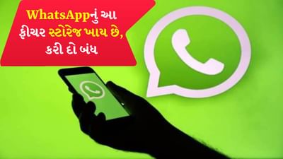 WhatsApp વિશ્વભરમાં સૌથી વધુ ઉપયોગમાં લેવાતી ઇન્સ્ટન્ટ મેસેજિંગ એપ છે. એપમાં ફોટો કે વીડિયો મેળવ્યા પછી તમે જેવો ફોટો કે વીડિયો ક્લિક કરો છો, તે તરત જ તમારા ફોનની ગેલેરીમાં સેવ થઈ જાય છે, જે ધીમે-ધીમે ફોનના સ્ટોરેજને ભરી દે છે.
