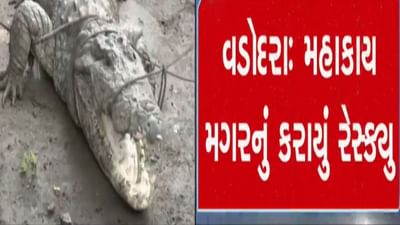 વડોદરામાં 15 ફુટ લાંબા મગરનું કરાયું રેસ્ક્યુ, જુઓ વીડિયો