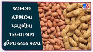 જામનગર APMCમાં મગફળીના મહત્તમ ભાવ રૂપિયા 6455 રહ્યા, જાણો જુદા-જુદા પાકના ભાવ