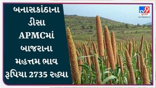 બનાસકાંઠાના ડીસા APMCમાં બાજરાના મહત્તમ ભાવ રૂપિયા 2735 રહ્યા, જાણો જુદા-જુદા પાકના ભાવ