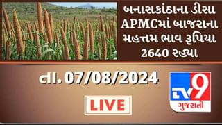 બનાસકાંઠાના ડીસા APMCમાં બાજરાના મહત્તમ ભાવ રૂપિયા 2640 રહ્યા, જાણો જુદા-જુદા પાકના ભાવ