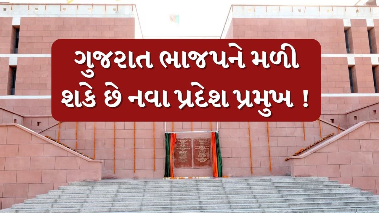 Gandhinagar :  દિલ્હીમાં આવતીકાલે ભાજપની મહત્વની રાષ્ટ્રીય બેઠક, રાષ્ટ્રીય અધ્યક્ષ અને ગુજરાતને નવા પ્રદેશ પ્રમુખ મળે તેવી શક્યતા, જુઓ Video