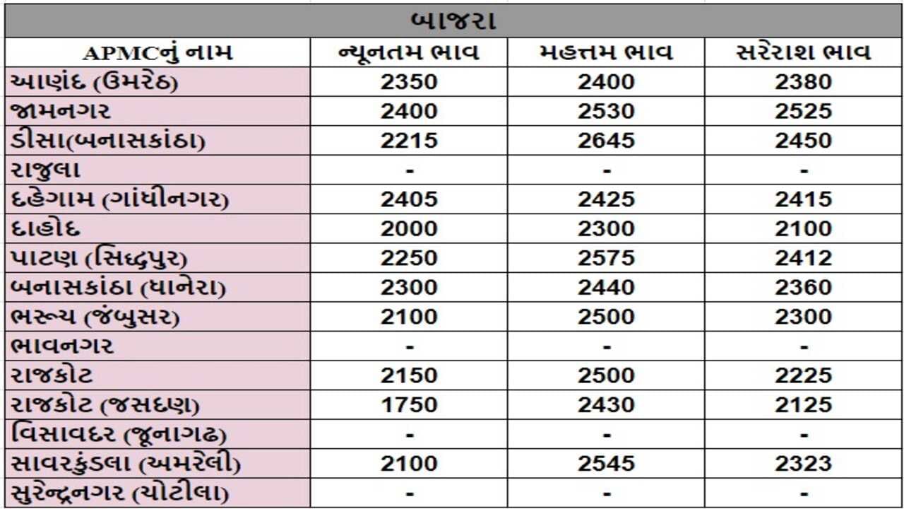 બાજરાના તા.13-08-2024ના રોજ APMCના ભાવ રૂ.1750 થી 2645 રહ્યા.