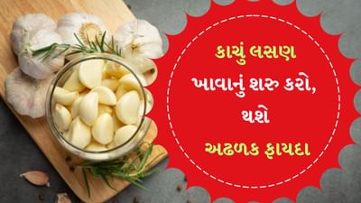 પાચન સુધારે છે : નબળી પાચનક્રિયા સુધારવા માટે લસણ ખૂબ જ ઉપયોગી છે. સવારે ખાલી પેટ તેનું સેવન કરવાથી પેટના દુખાવા અને કબજિયાતથી પણ રાહત મળે છે. આ ઉપરાંત તે ભૂખને ઉત્તેજીત કરવામાં અને પેટમાં એસિડની રચનાને રોકવામાં પણ ખૂબ મદદરૂપ છે. (Photo credit : freepik)