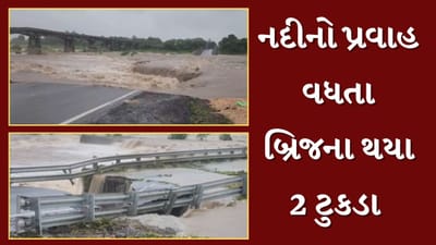 Chhota Udepur : પાવીજેતપુરના શિહોદમાં ભારજ નદીમાં પાણીનો પ્રવાહ વધતા બ્રિજના બે ટુકડા, જુઓ Video