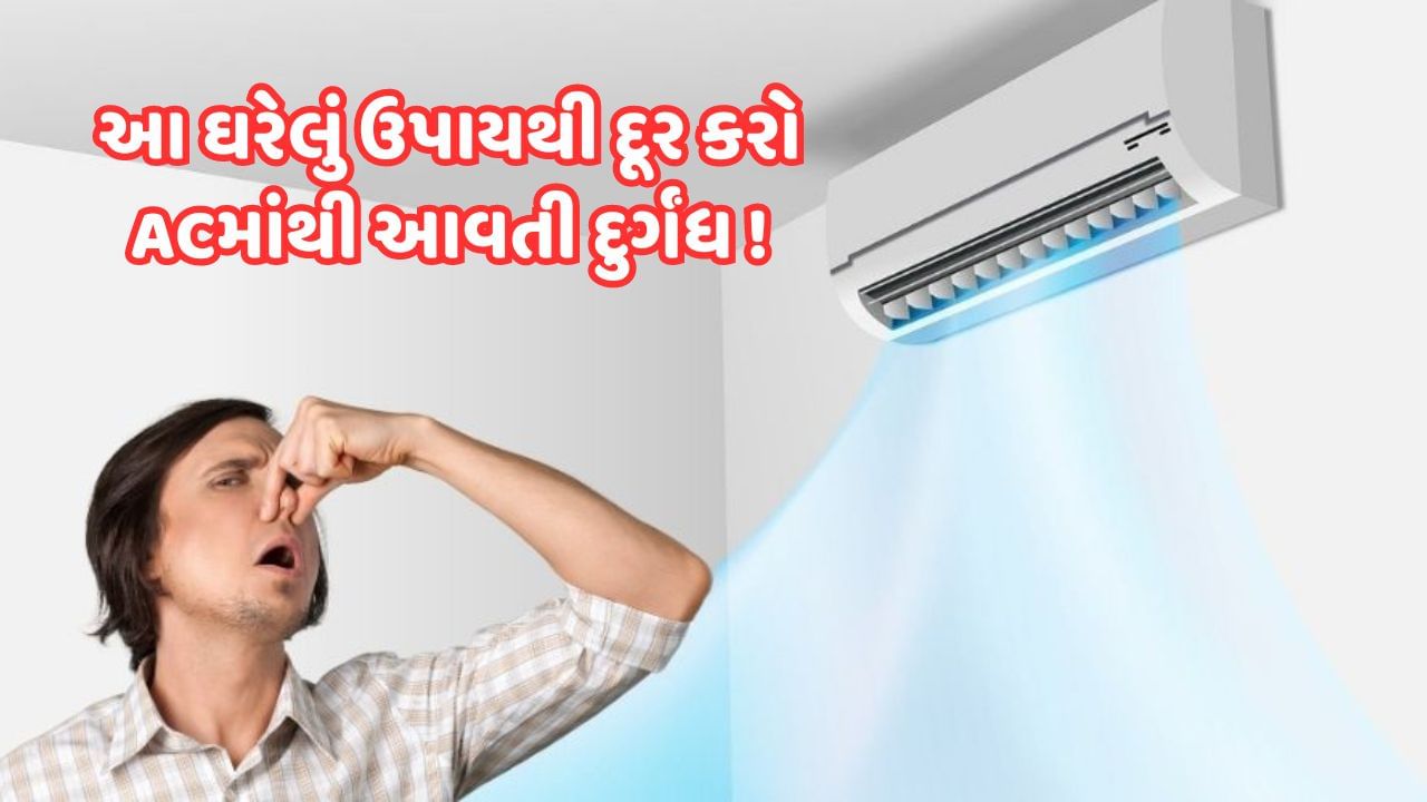 Air Conditioner Smell: ACની ગંધથી થઈ ગયા છો પરેશાન! તો આ રીતેથી મેળવો છુટકારો