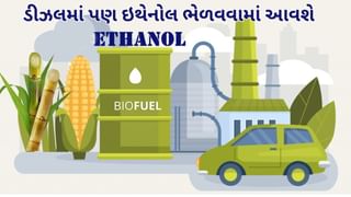 Ethanol Blending scheme: હવે ડીઝલમાં પણ ઇથેનોલ ભેળવવામાં આવશે, સરકારની 5% ઇથેનોલ મિશ્રણની તૈયારી: સૂત્રો