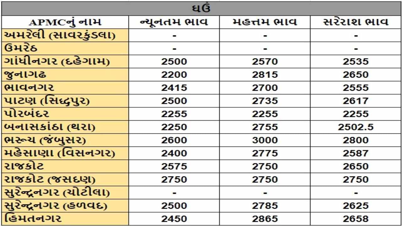 ઘઉંના તા.01-08-2024ના રોજ APMCના ભાવ રૂ.2200 થી 3000 રહ્યા.