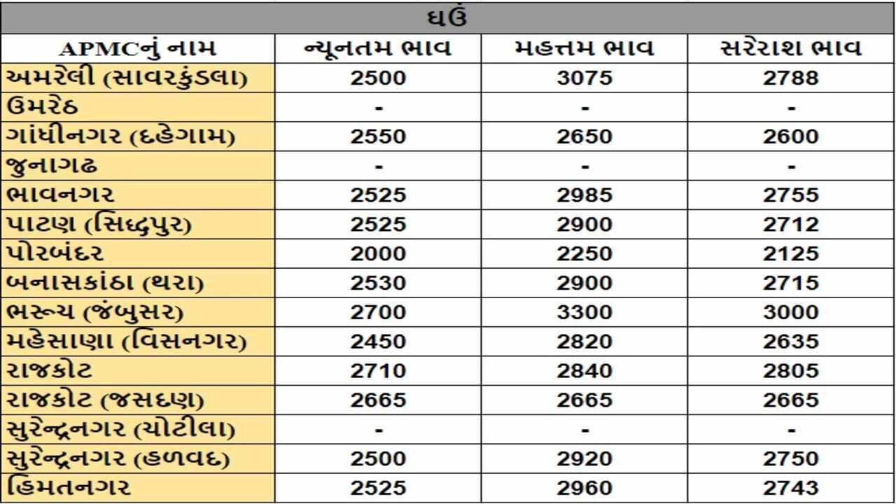 ઘઉંના તા.21-08-2024ના રોજ APMCના ભાવ રૂ.2000 થી 3300 રહ્યા.