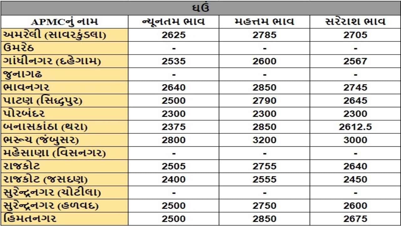 ઘઉંના તા.06-08-2024ના રોજ APMCના ભાવ રૂ.2300 થી 3200 રહ્યા.