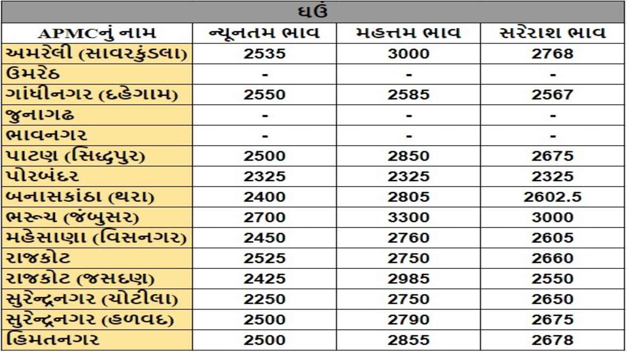 ઘઉંના તા.08-08-2024ના રોજ APMCના ભાવ રૂ.2250 થી 3300 રહ્યા.