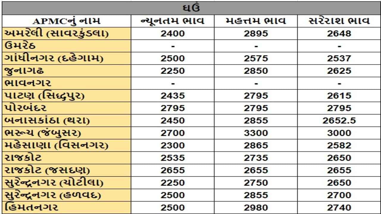 ઘઉંના તા.13-08-2024ના રોજ APMCના ભાવ રૂ.2250 થી 3300 રહ્યા.