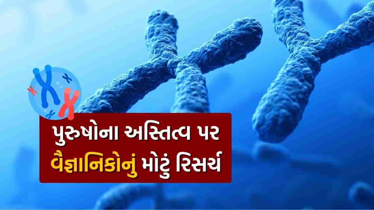 ખતમ થઈ જશે પુરુષોનું અસ્તિત્વ ! Y Chromosomes માં થઈ રહ્યો છે ઘટાડો, નવા રિસર્ચમાં થયો ચોંકાવનારો ખુલાસો