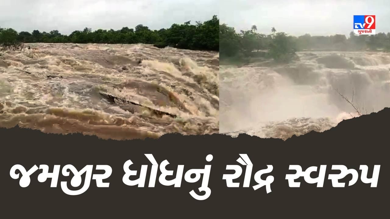 Gir Somnath : શિંગોડા ડેમના દરવાજા ખોલાતા જમજીર ધોધમાં વધ્યો પાણીનો પ્રવાહ, Videoમાં  જુઓ ધોધનું રૌદ્ર રૂપ