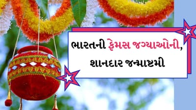 Janmashtami 2024 : રક્ષાબંધનના આઠ દિવસ પછી ભગવાન કૃષ્ણની જન્મજયંતિ એટલે કે જન્માષ્ટમી ઉજવવામાં આવે છે. આ દિવસને લઈને ભક્તોમાં ભારે ઉત્સાહ જોવા મળી રહ્યો છે. લોકો માત્ર ઉપવાસ જ નથી રાખતા, તેની સાથે ભગવાન શ્રીકૃષ્ણને અર્પણ કરવા માટે ઘરે-ઘરે મીઠાઈ સહિત વિવિધ પ્રકારની વાનગીઓ તૈયાર કરવામાં આવે છે. જન્માષ્ટમી પર નાના બાળકોને રાધા-કૃષ્ણના રૂપમાં શણગારવામાં આવે છે અને સુંદર ઝાંખી કાઢવામાં આવે છે, જ્યારે દેશભરના દરેક નાના-મોટા મંદિરોમાં આ દિવસે વિશેષ તૈયારીઓ કરવામાં આવે છે અને દહીં હાંડીનું આયોજન કરવામાં આવે છે. આ સ્થળોની મુલાકાત તમારા માટે આજીવન યાદગાર બની શકે છે.