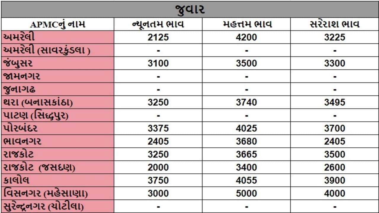 જુવારના તા.16-08-2024ના રોજ APMCના ભાવ રૂ.2000 થી 4200 રહ્યા.